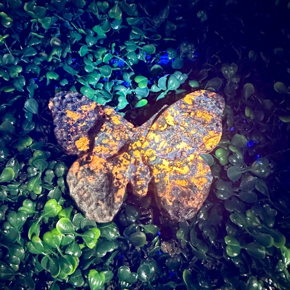 UV Reactive Yooperlite Butterfly Skull Carving - Picture 5 of 8